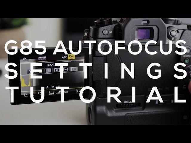 Panasonic G85 Autofocus Setup - 1 Area, 49 Area, Tracking  // Lumix 25 1.7 Autofocus Test