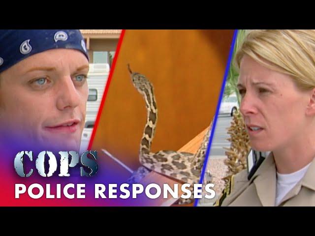 Police Respond: Snakes, Traffic Stops & Disturbances | Cops: Full Episodes