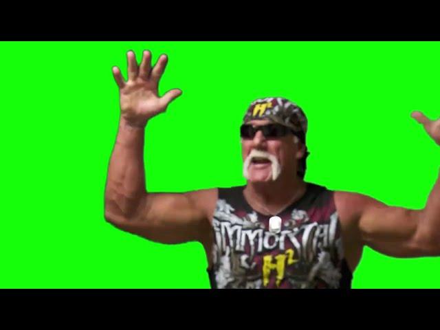 Hulk Hogan "oh my god, what a masterpiece" green screen