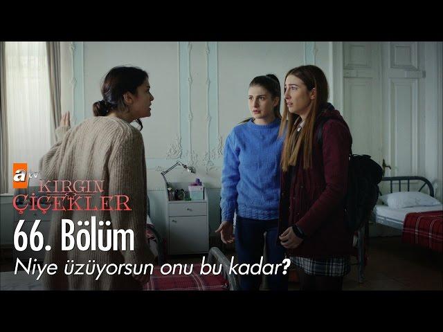 Niye üzüyorsun onu bu kadar? - Kırgın Çiçekler 66. Bölüm - atv