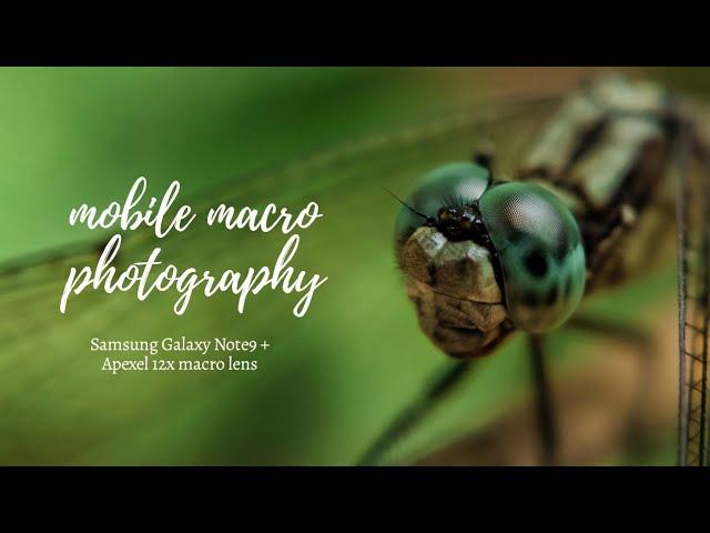 IDEAS | Mobile macro photography with your smartphone - Episode 3