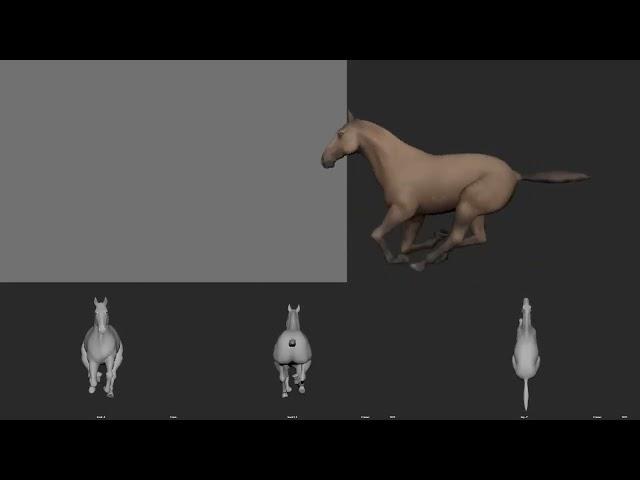 Horse Run cycle animation - v02