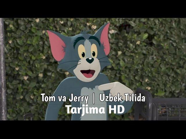 Tom va Jerry | Uzbek tilida 2022