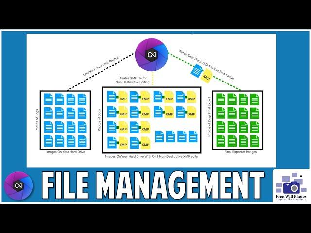 ON1 Photo Raw File Management Explained