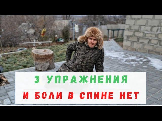 Как убрать боль в спине и пояснице за 5 мин? 3 простых упражнения #егорзазож #поясница #здоровье