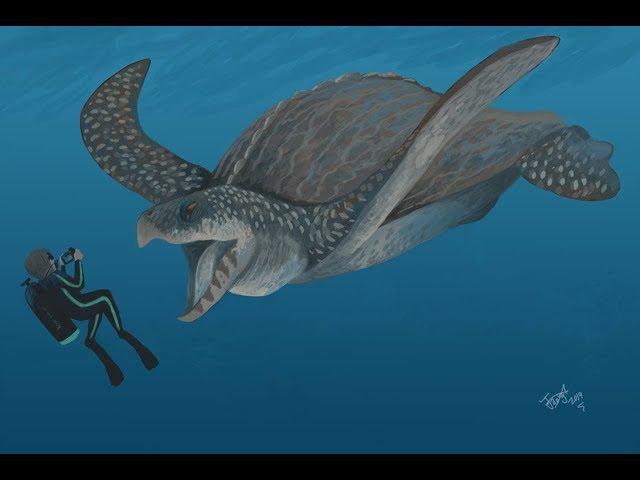 The Gigantic Sea Turtle - Archelon