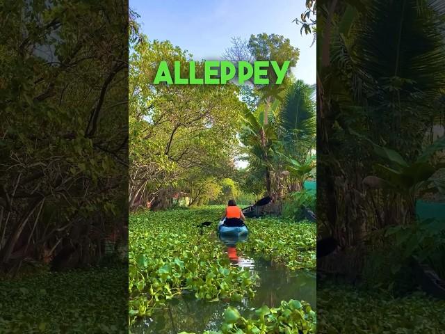 Ultimate Guide To Alleppey #travel #travelblogger #2023 #india #trip #kerala #alleppy #alappuzha