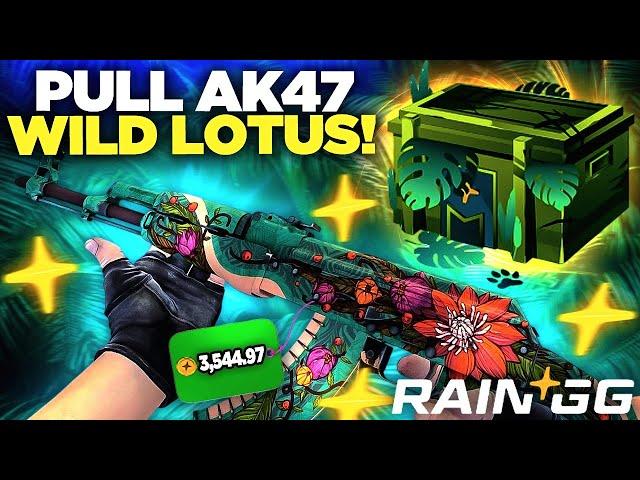 BEST PULL AK47 WILD LOTUS ON RAIN.GG | Rain.GG Promo Code 2024 | RAINGG PROMOCODE | Rain.GG