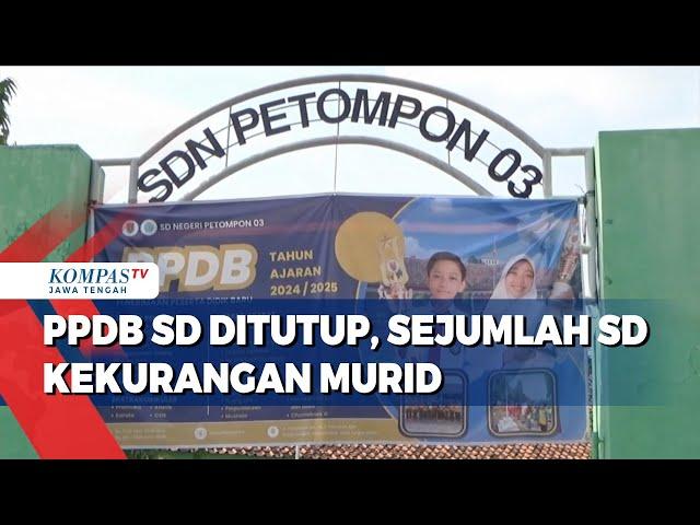 PPDB SD Ditutup, Sejumlah SD Kekurangan Murid