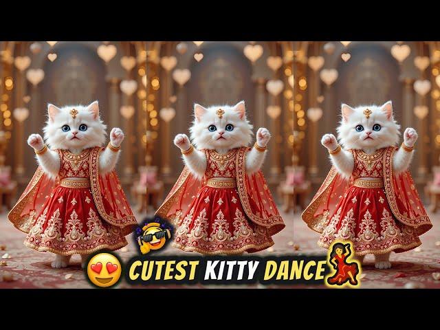 Cat videos funny dance  Videos for cats | बिल्ली डांस | Funny cats #funny #dancingcat #cat