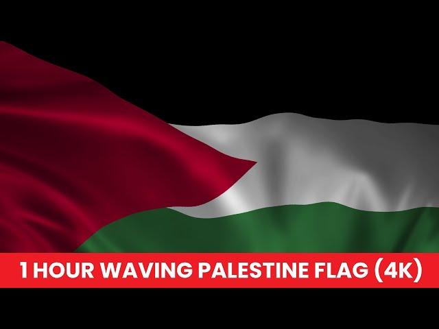 Palestine Waving Flag 1 Hour Nonstop in 4K