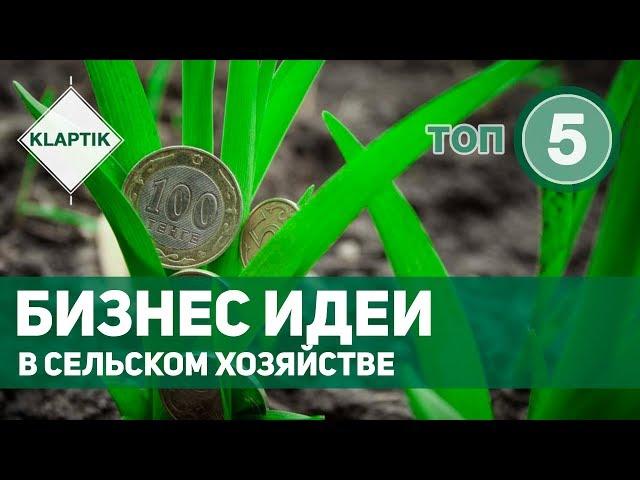 ТОП-5 Бизнес идеи в сельском хозяйстве