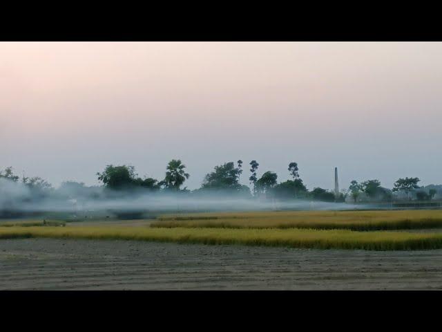 PADDY FARMING IN CITY ️  // VLOGS //