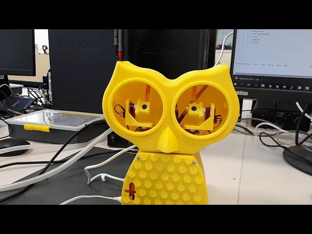 Robot Owl Eye Roll