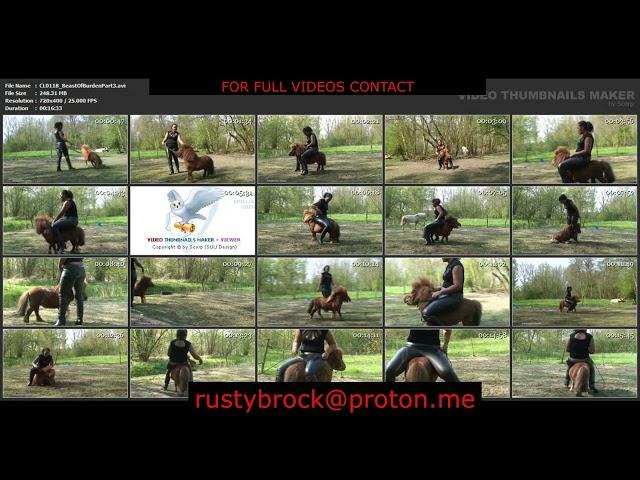 Napoleon Pony Riding