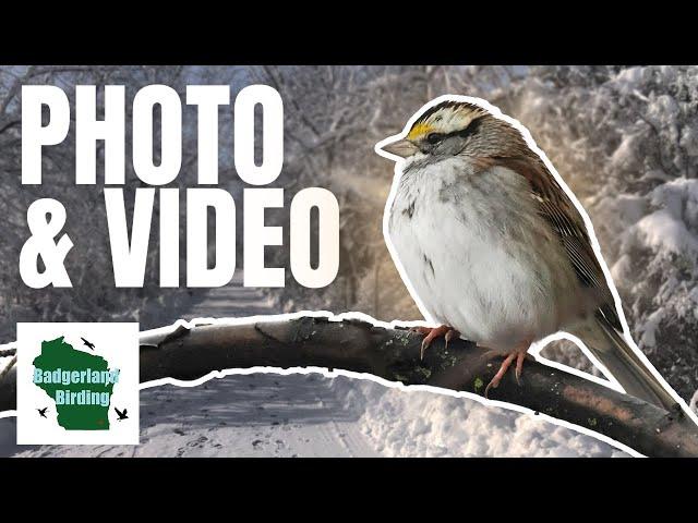 Birding and Bird Photography in a Beautiful Snowy Landscape