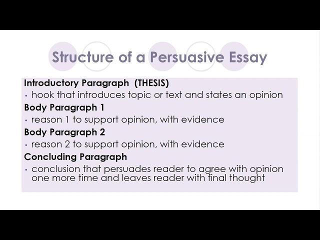 Don Quixote Persuasive Essay