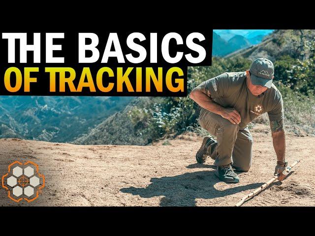 Discover the Basics of Tracking a Person in the Wilderness