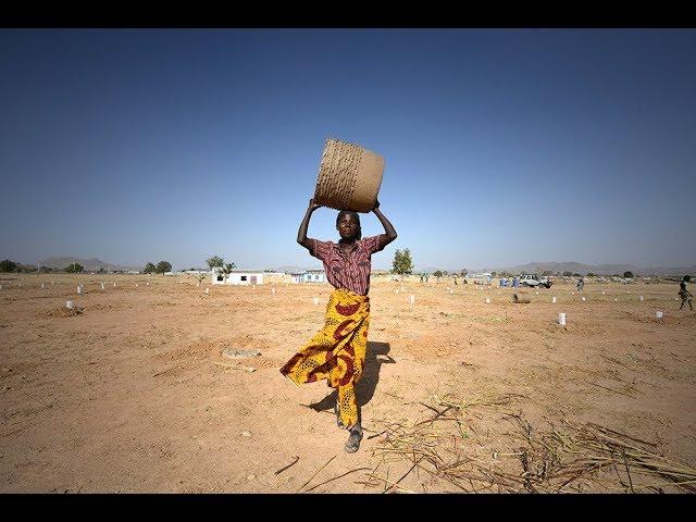 It Will Be Green Again (2018) - Official Short Documentary- UNHCR Camp Minawao