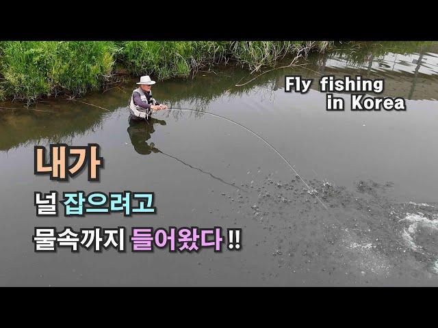 2024 fly fishing EP4 - 날 미치게 하는 낚시. (Carp On The Fly 잉어 플라이 낚시)