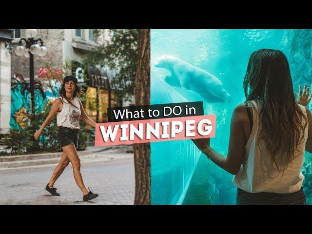We didn't expect this in WINNIPEG!? What to DO in Winnipeg, Manitoba.