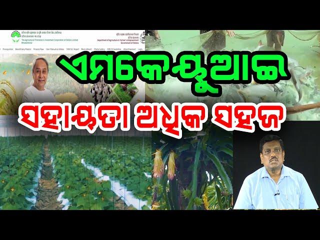 ଆପିକଲ ଜରିଆରେ ସବସିଡି ପ୍ରଦାନ କୋହଳ ହେଲା | Apicol simplifies Subsidy norms for agri entrepreneurs