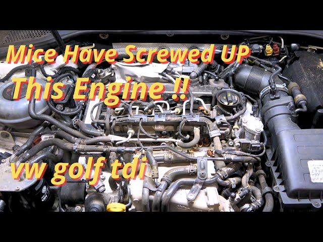 Volkswagen Golf TDI Goes in Limp Mode, Engine Loses Power, Code P2563 & P00AF - Diagnosis & Repair