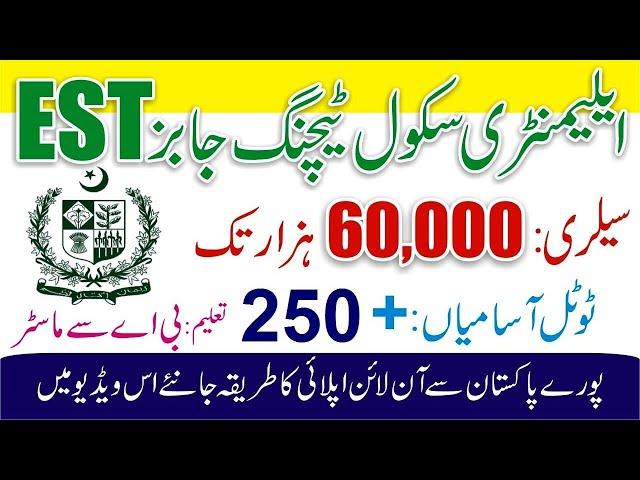 Federal Directorate Of Education Jobs - Elementary School Teachers Jobs - EST Jobs 2022 Online Apply