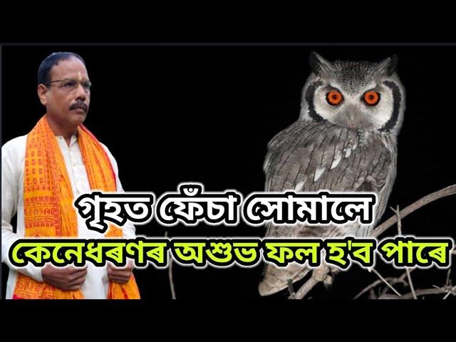 সময় অনুসৰি ফলাফল পৃথক হয় ।। Owl । ফেঁচা । Astrology ।। Jyotish Siddhant ।। Nirmal Chandra Sarma