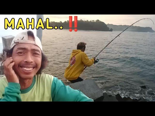 GAK NYANGKA‼️MANCING DAPAT IKAN TERMAHAL DI DUNIA || bari ngluyur mancing ikan