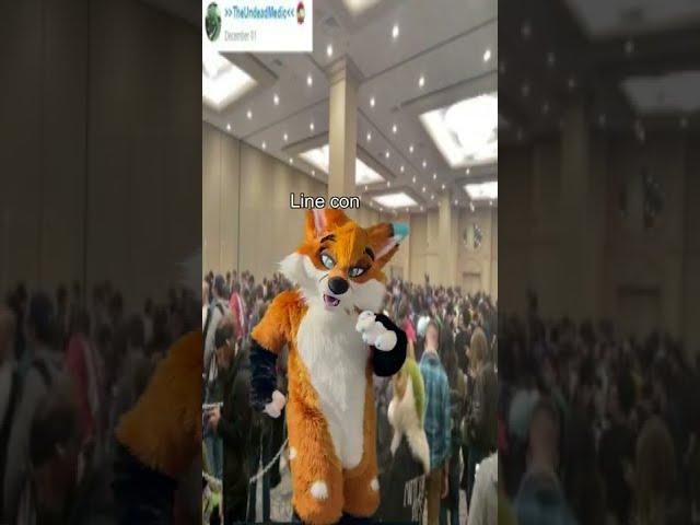 What to Expect at a Furry Convention