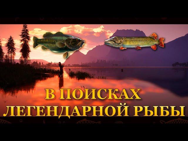  Call of the Wild: The Angler. В поисках легендарной рыбы 02-06-2024 