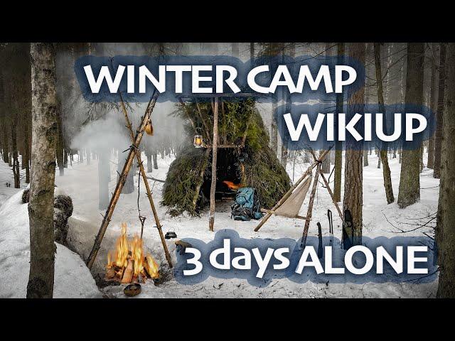 Winter Bushcraft - WIKIUP Shelter - 3 Days ALONE in WINTER Forest - BUSHCRAFT Trip & Skills - ASMR