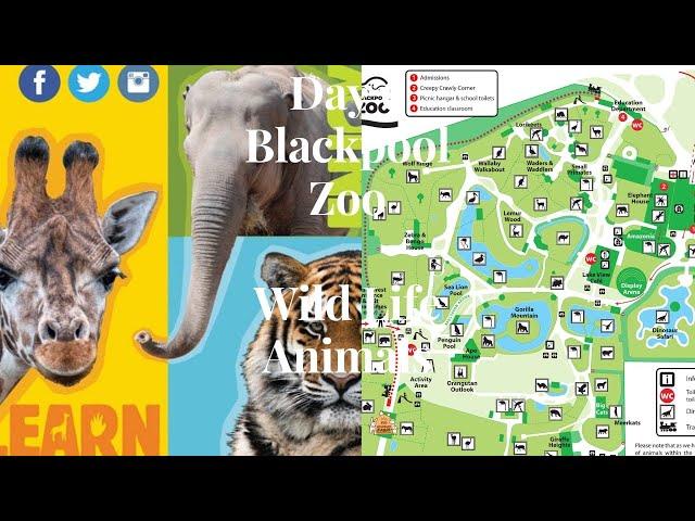 Blackpool Zoo