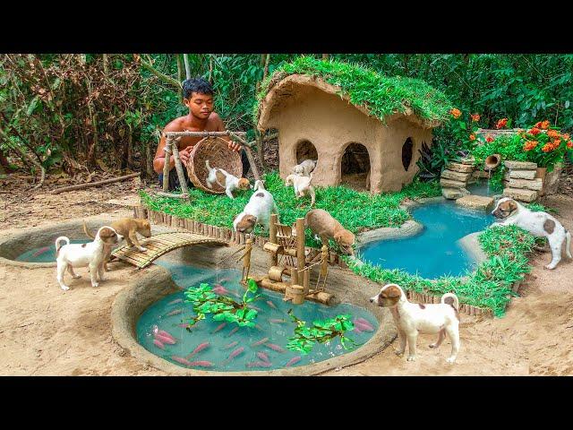 Rescue Abandoned Puppies Building Mud House Dog And Fish Pond For Red Fish