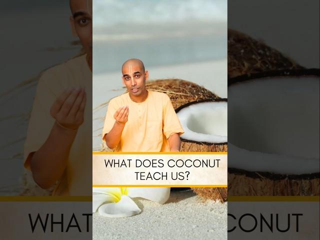 What does coconut teach us? | Gauranga Darshan Das