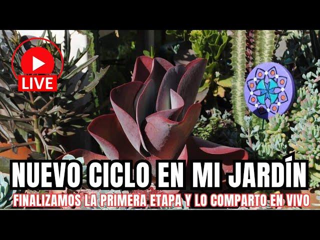 NUEVO CICLO EN MI JARDÍN: finalizamos primera etapa y la comparto en Vivo