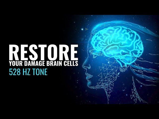 Heal and Restore Your Damage Brain Cells | Overcome Your Decreased Mental Capabilities | 528 Hz Tone