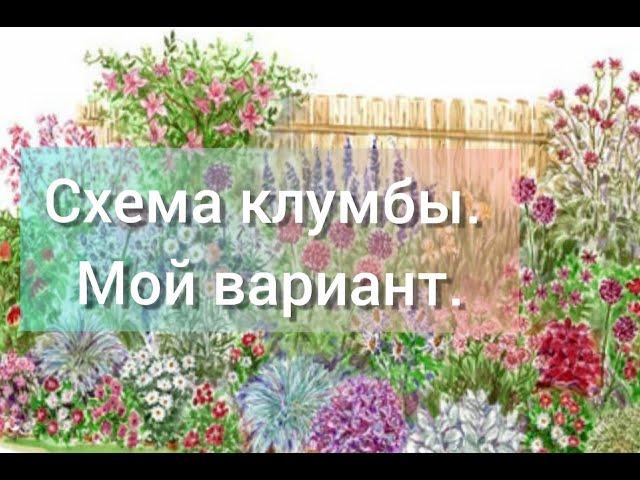 Схема клумбы для новичка//неприхотливые цветы//ленивая клумба//сезон 2021