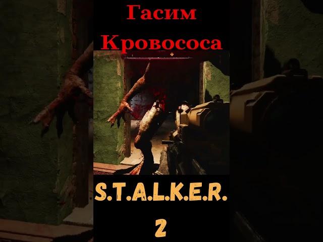 #кровосос #STALKER2HeartofChornobyl #yutubeshorts #shortsvideo #gaming #hdvideo #shortsviral #shorts