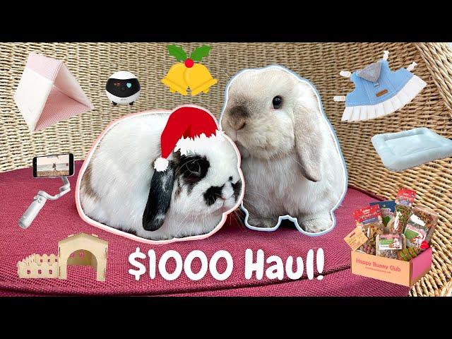 Holiday Vlog | Christmas gifts for bunnies and owners 