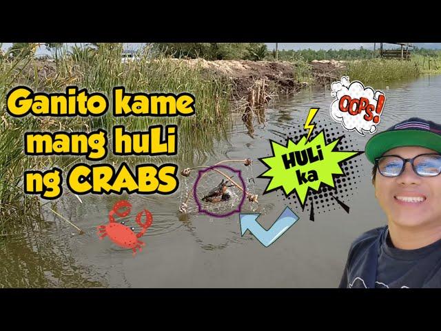 Paano mang huli ng Mud Crabs na macapuno gamit BintoL.