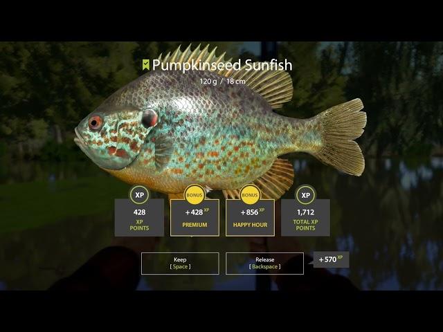 Russian Fishing 4 - Seversky Donets River Pumpkinseed Sunfish Active Spot #10