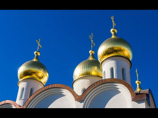 Купола ( Church domes ) family comfy   песня М. Круг " Отпусти мне, батюшка, грехи"#shorts