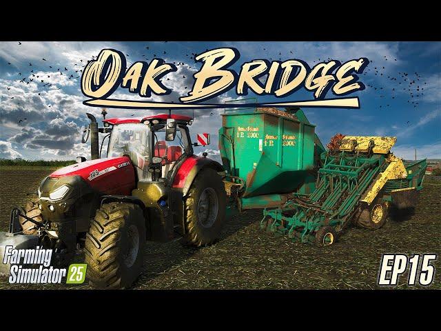 Podcast Job!  | Oak Bridge Let's Play Ep15 | Farming Simulator 25