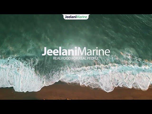 Look this Amazing Seafood Factory  | Jeelani Marine Products!