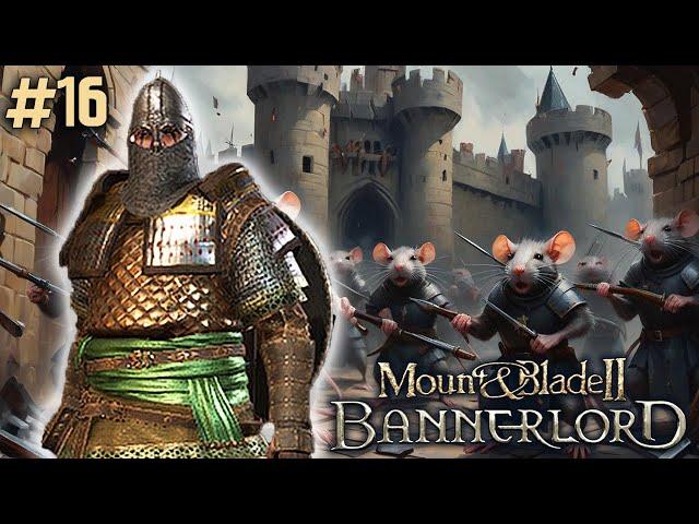 The Never Ending War... | Mount & Blade: Bannerlord - #16