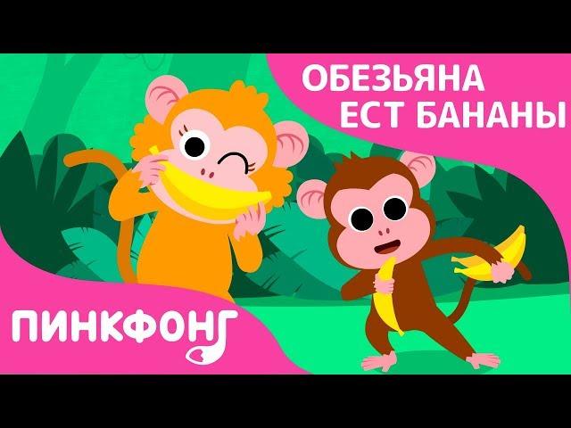 Обезьяна ест Бананы | Песни про Животных | Пинкфонг Песни для Детей