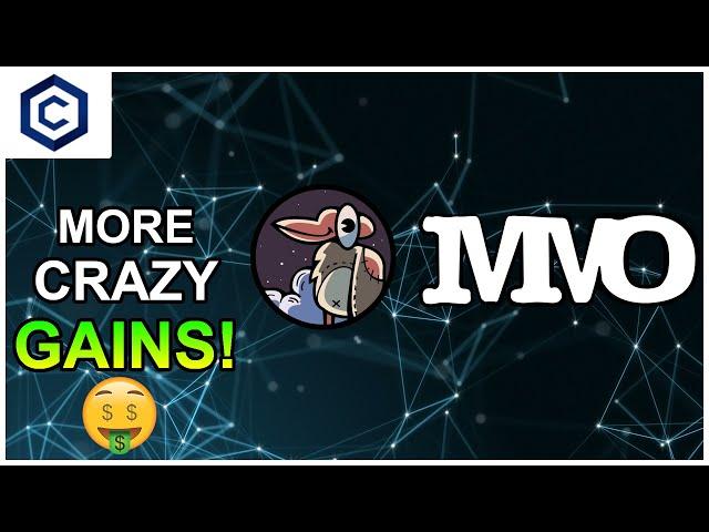 MM Finance - CRAZY Update for MMO Finance!