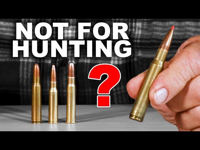 These Cartridges Aren't For Hunting?